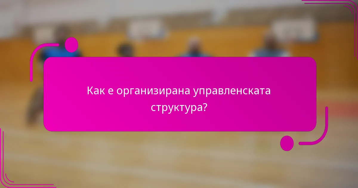Как е организирана управленската структура?